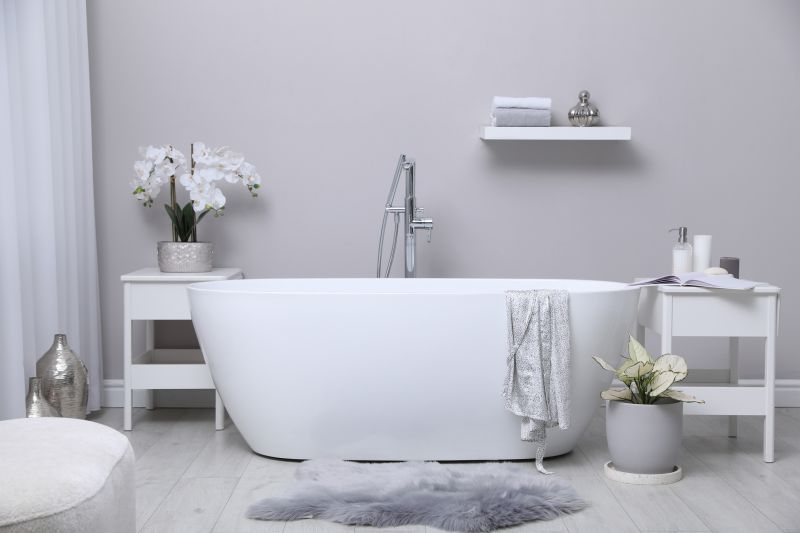 Freestanding Bathtub Setup